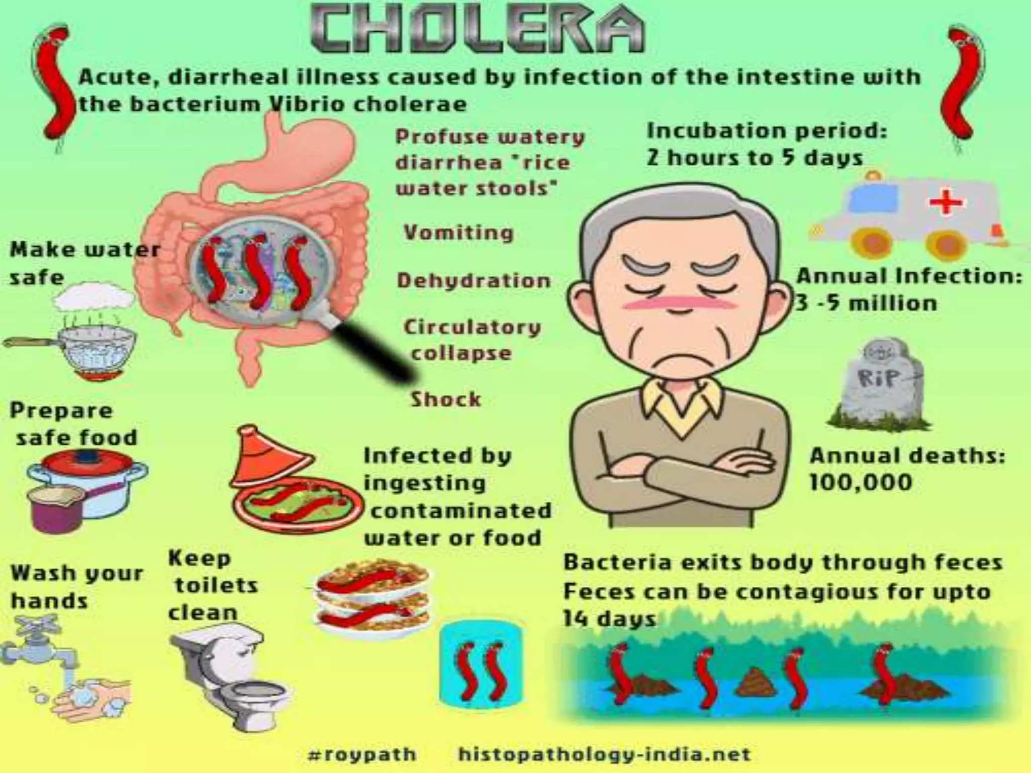 Diseases caused by bacteria | PPTX