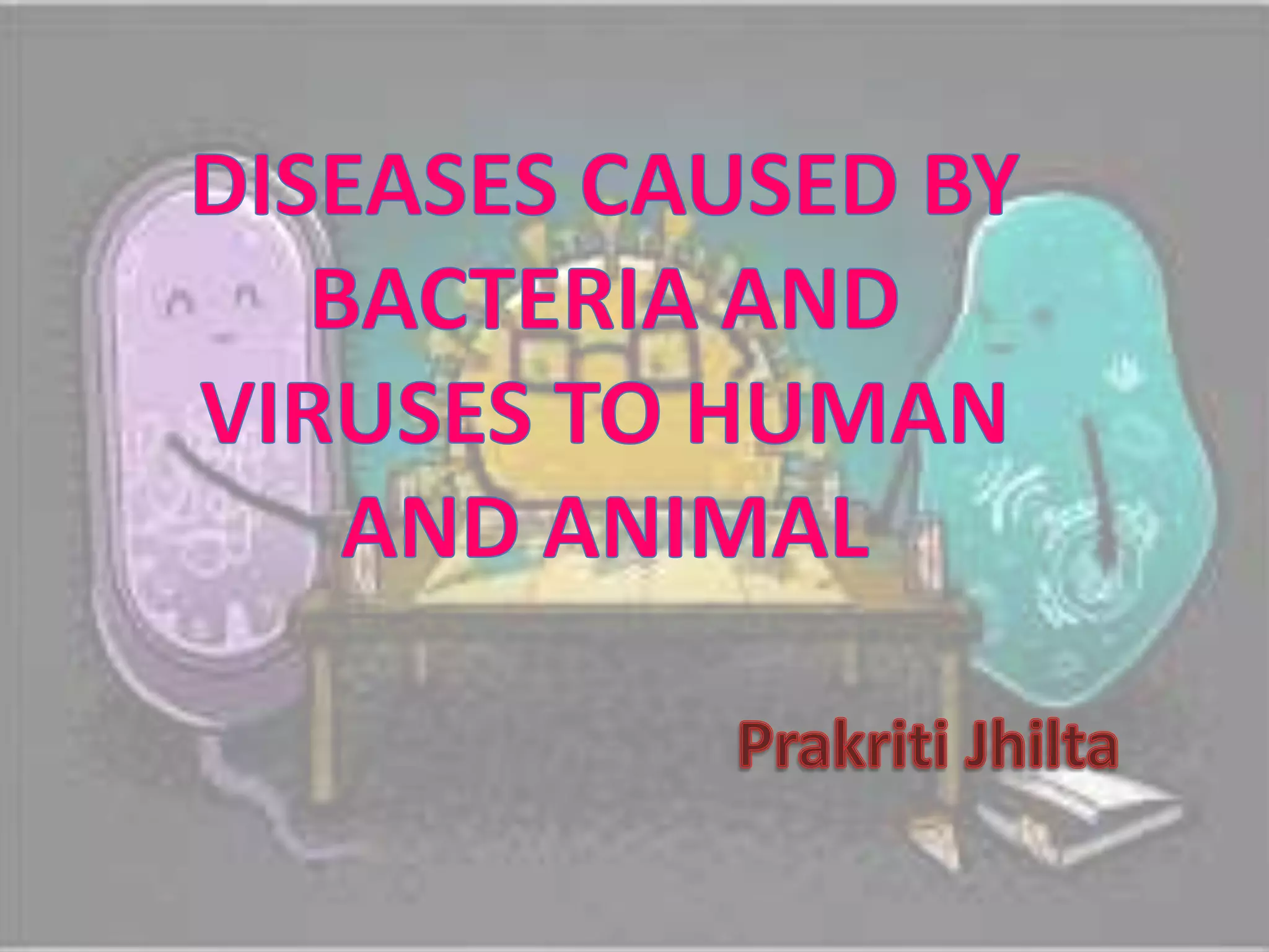 Diseases caused by bacteria and viruses to human | PPTX