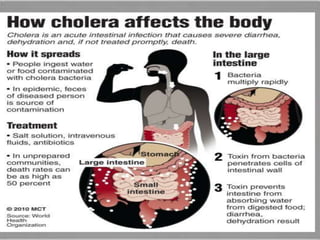 Diseases caused by bacteria and viruses to human | PPTX