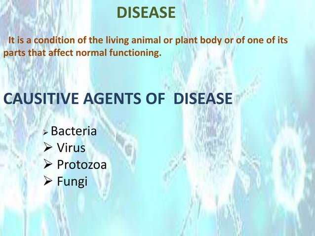 Diseases caused by bacteria and viruses to human | PPTX