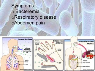 Diseases caused by bacteria and viruses to human | PPTX