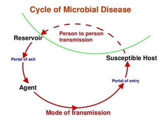 Diseases caused by bacteria and viruses to human | PPTX