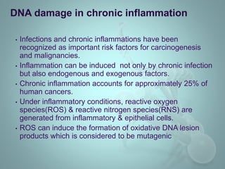 • Infections and chronic inflammations have been
recognized as important risk factors for carcinogenesis
and malignancies.
• Inflammation can be induced not only by chronic infection
but also endogenous and exogenous factors.
• Chronic inflammation accounts for approximately 25% of
human cancers.
• Under inflammatory conditions, reactive oxygen
species(ROS) & reactive nitrogen species(RNS) are
generated from inflammatory & epithelial cells.
• ROS can induce the formation of oxidative DNA lesion
products which is considered to be mutagenic
DNA damage in chronic inflammation
 