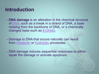 • DNA damage is an alteration in the chemical structure
of DNA, such as a break in a strand of DNA, a base
missing from the backbone of DNA, or a chemically
changed base such as 8-OHdG.
• Damage to DNA that occurs naturally can result
from metabolic or hydrolytic processes.
• DNA damage induces sequential responses to either
repair the damage or activate apoptosis.
Introduction
 