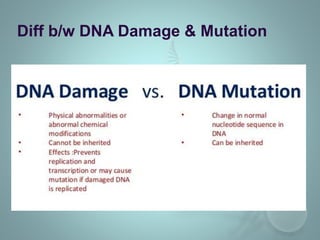 Diff b/w DNA Damage & Mutation
 