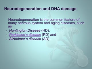 Neurodegeneration is the common feature of
many nervous system and aging diseases, such
as
• Huntington Disease (HD),
• Parkinson’s disease (PD) and
• Alzheimer’s disease (AD)
Neurodegeneration and DNA damage
 
