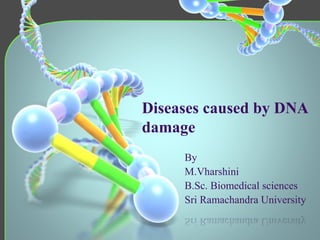 Diseases caused by DNA
damage
By
M.Vharshini
B.Sc. Biomedical sciences
Sri Ramachandra University
 