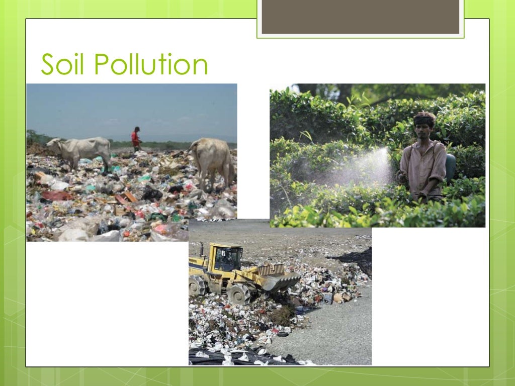 Diseases caused by pollution