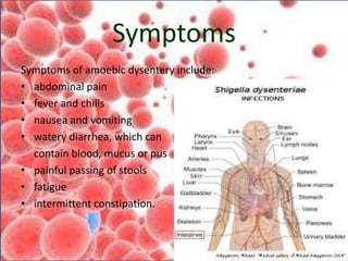Symptoms
Symptoms of amoebic dysentery include:
• abdominal pain
• fever and chills
• nausea and vomiting
• watery diarrhea, which can
contain blood, mucus or pus
• painful passing of stools
• fatigue
• intermittent constipation.
 