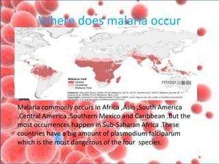 Where does malaria occur
Malaria commonly occurs in Africa ,Asia ,South America
,Central America ,Southern Mexico and Caribbean .But the
most occurrences happen in Sub-Saharan Africa .These
countries have a big amount of plasmodium falciparum
which is the most dangerous of the four species.
 