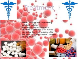 Treatment
Malaria is treated with a class of drugs
called anti malarial.
antimalarial drugs are designed to
attack the parasites that cause malaria
,preventing them from spreading while
also killing them off so they can’t continue
causing infection .
 