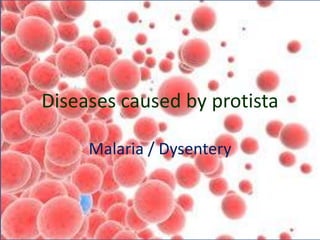 Diseases caused by protista
Malaria / Dysentery
 