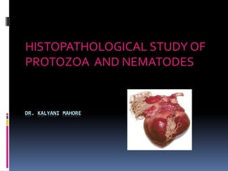 DR. KALYANI MAHORE
HISTOPATHOLOGICAL STUDY OF
PROTOZOA AND NEMATODES
 