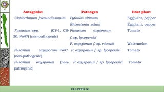 Diseases controlled by the biocontrol agents | PPTX