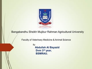 Bangabandhu Sheikh Mujibur Rahman Agricultural University
Faculty of Veterinary Medicine & Animal Science
By
Abdullah Al Bayazid
Dvm 3rd year,
BSMRAU.
 