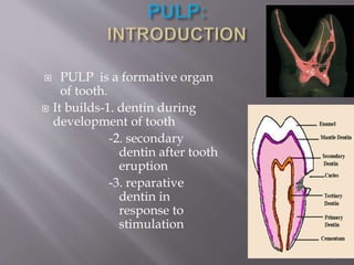 Development Of Pulp Diseases for pulp and periapical tissues | PPTX