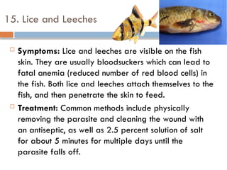 Fish Diseases and remedial measures.pptx