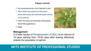 MITS INSTITUTE OF PROFESSIONAL STUDIES
 