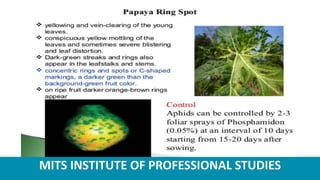 MITS INSTITUTE OF PROFESSIONAL STUDIES
 