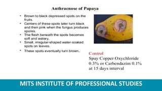 MITS INSTITUTE OF PROFESSIONAL STUDIES
 