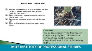 MITS INSTITUTE OF PROFESSIONAL STUDIES
 