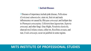 MITS INSTITUTE OF PROFESSIONAL STUDIES
 