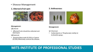 MITS INSTITUTE OF PROFESSIONAL STUDIES
 