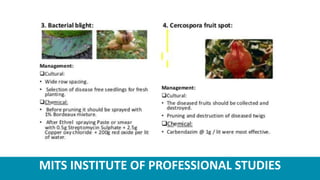 MITS INSTITUTE OF PROFESSIONAL STUDIES
 