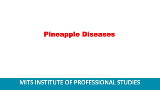 MITS INSTITUTE OF PROFESSIONAL STUDIES
Pineapple Diseases
 