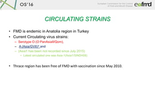 CIRCULATING STRAINS
• FMD is endemic in Anatolia region in Turkey
• Current Circulating virus strains:
– Serotype O (O PanAsiaII/Qom),
– A (Asia/GVII)* and
– (Asia1 has been not recorded since July 2015)
• Latest sirculated one was Asia-1(Asia1/SINDH08)
• Thrace region has been free of FMD with vaccination since May 2010.
3
 