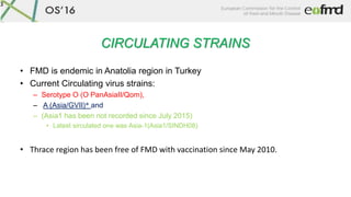 CIRCULATING STRAINS
• FMD is endemic in Anatolia region in Turkey
• Current Circulating virus strains:
– Serotype O (O Pan...