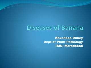 Khushboo Dubey
Dept of Plant Pathology
TMU, Moradabad
 