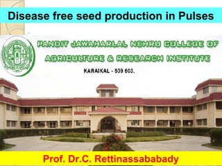 U.T. of Puducherry
Disease free seed production in Pulses
Prof. Dr.C. Rettinassababady
 