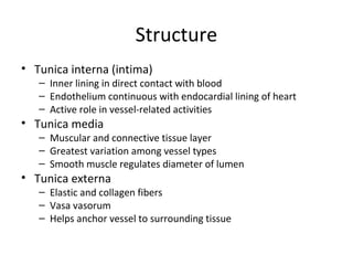 Diseases of blood vessels | PPT