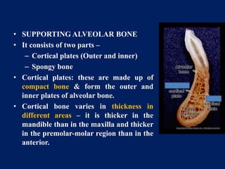 Diseases of bones and joint | PPTX