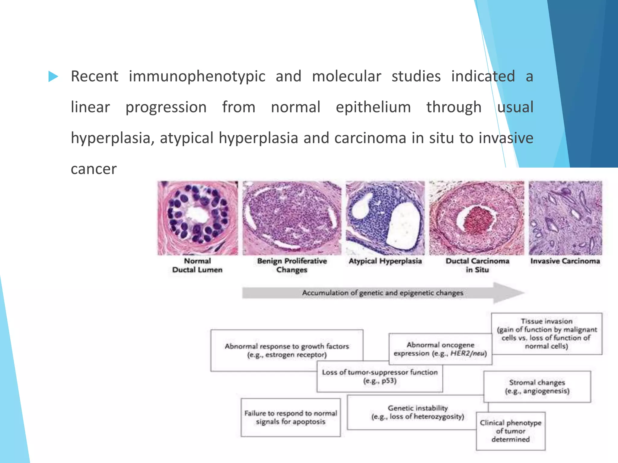  Recent immunophenotypic and molecular studies indicated a
linear progression from normal epithelium through usual
hyperplasia, atypical hyperplasia and carcinoma in situ to invasive
cancer
 