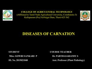 COLLEGE OF AGRICULTURAL TECHNOLOGY
(Affiliated to Tamil Nadu Agricultural University, Coimbatore-3)
Kullapuram (Po),ViaVaigai Dam, Theni-625 562
DISEASES OF CARNATION
STUDENT
Miss. GOWRI SANKARI P
ID. No. 2015021040
COURSE TEACHER
Dr. PARTHASARATHY S
Asst. Professor (Plant Pathology)
 