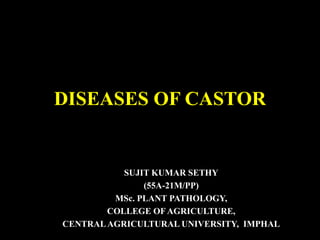 DISEASES OF CASTOR
SUJIT KUMAR SETHY
(55A-21M/PP)
MSc. PLANT PATHOLOGY,
COLLEGE OFAGRICULTURE,
CENTRALAGRICULTURAL UNIVERSITY, IMPHAL
 