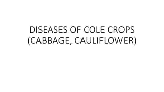 DISEASES OF COLE CROPS
(CABBAGE, CAULIFLOWER)
 
