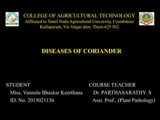 COLLEGE OF AGRICULTURAL TECHNOLOGY
Affiliated to Tamil Nadu Agricultural University, Coimbatore
Kullapuram, Via Vaigai dam, Theni-625 562
DISEASES OF CORIANDER
STUDENT COURSE TEACHER
Miss. Vannalu Bhaskar Keerthana Dr. PARTHASARATHY. S
ID. No. 2015021136 Asst. Prof., (Plant Pathology)
 