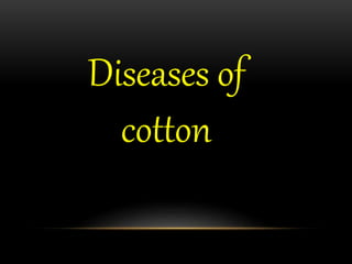 Diseases of
cotton
 