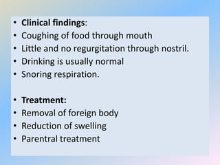 • Clinical findings:
• Coughing of food through mouth
• Little and no regurgitation through nostril.
• Drinking is usually normal
• Snoring respiration.
• Treatment:
• Removal of foreign body
• Reduction of swelling
• Parentral treatment
 