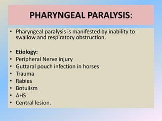 PHARYNGEAL PARALYSIS:
• Pharyngeal paralysis is manifested by inability to
swallow and respiratory obstruction.
• Etiology:
• Peripheral Nerve injury
• Guttaral pouch infection in horses
• Trauma
• Rabies
• Botulism
• AHS
• Central lesion.
 