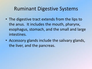 Ruminant Digestive Systems
• The digestive tract extends from the lips to
the anus. It includes the mouth, pharynx,
esophagus, stomach, and the small and large
intestines.
• Accessory glands include the salivary glands,
the liver, and the pancreas.
 