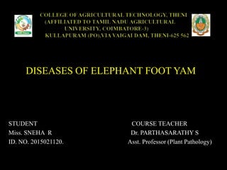 DISEASES OF ELEPHANT FOOT YAM
STUDENT COURSE TEACHER
Miss. SNEHA R Dr. PARTHASARATHY S
ID. NO. 2015021120. Asst. Professor (Plant Pathology)
 
