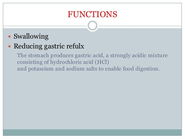 Diseases of esophagus stomach,duodenum
