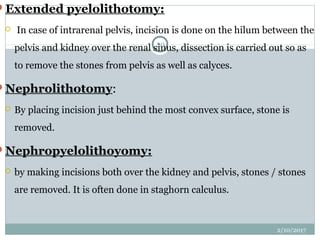 Diseases of excretory system | PPT