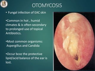 Diseases of external ear | PPTX