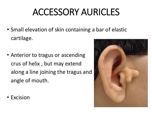 Diseases of external ear 1