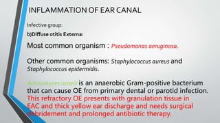 Diseases of External Ear.pptx